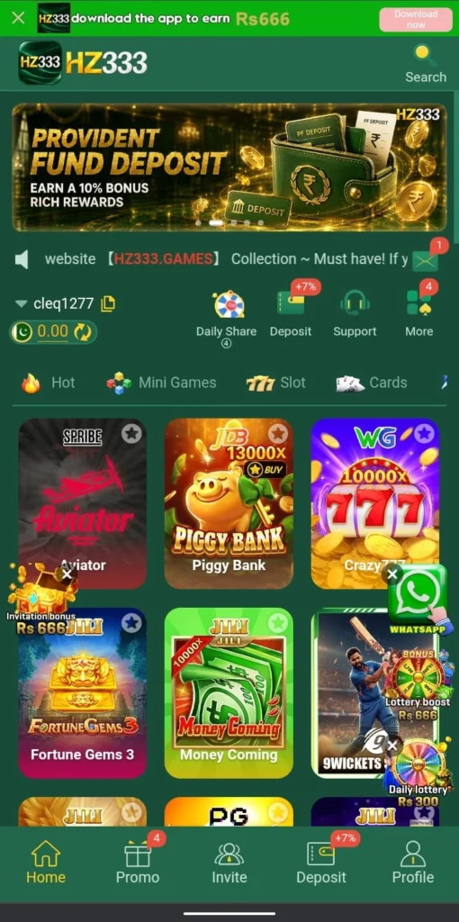 HZ333 Game