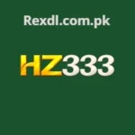 HZ333 Game